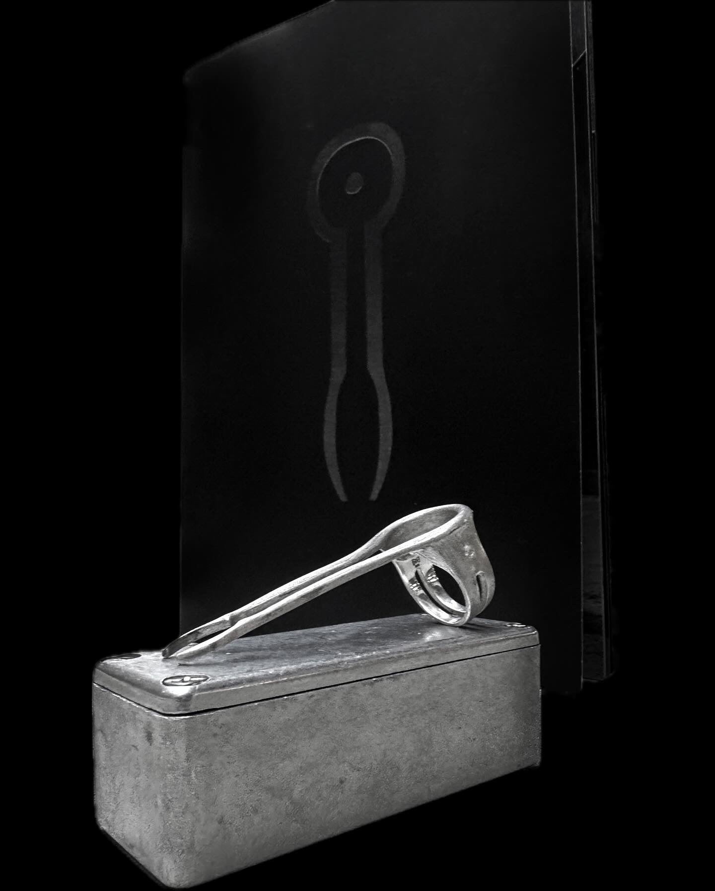 [925 solid silver] METAPHOR SYMBOL RING